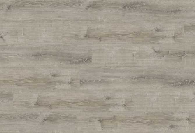 Oak silveron